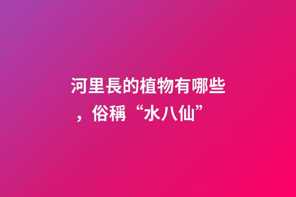 河里長的植物有哪些，俗稱“水八仙”-第1張-觀點-玄機派